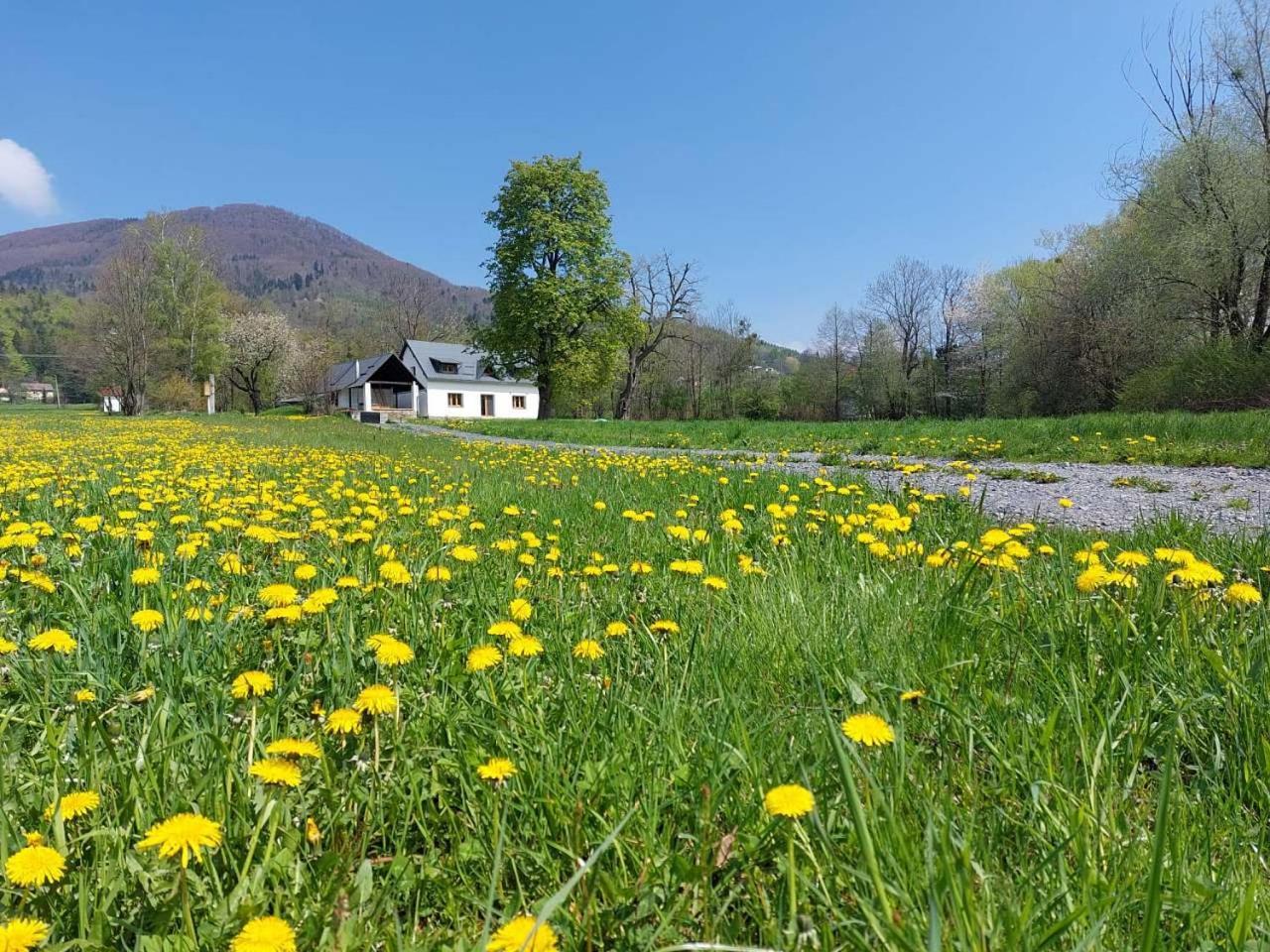 Nebesky 81 Villa Kuncice pod Ondrejnikem Bagian luar foto